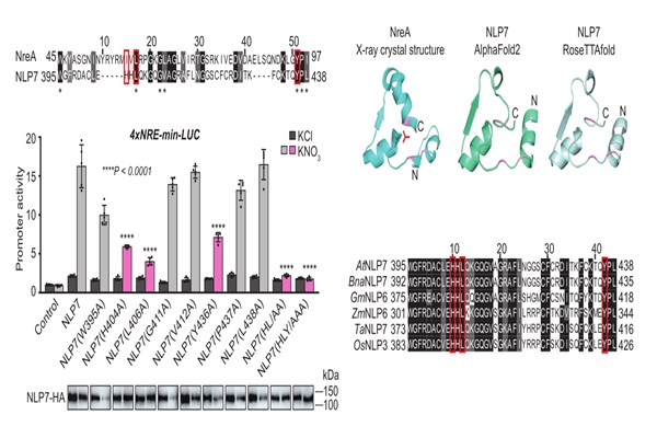 7d64f1ac11c940dd9ad14384e0a0afbb.jpg 文图-3.jpg
